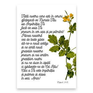 “Tatăl nostru care ești în ceruri,
sfințească‑se Numele Tău;
vie Împărăția Ta;
facă‑se voia Ta
precum în cer, așa și pe pământ!
Pâinea noastră cea de toate zilele dă‑ne‑o nouă astăzi
și ne iartă nouă greșelile noastre
precum și noi iertăm greșiților noștri;
și nu ne duce în ispită,
ci izbăvește‑ne de Cel Rău!
Căci a Ta este împărăția și puterea și slava în veci. Amin!”

Matei 6: 9-13